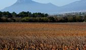 Tour Wandern La Crau - Fenouillet - Chateau de Hyères - retour par les vignes - Photo 6