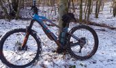 Trail Electric bike Strueth - sortie vtt 21012024 mertzen - Photo 4