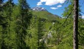 Tocht Stappen Val-d'Isère - Tour du bois de la Laye au départ de La Daille - Photo 6