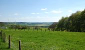 Tocht Te voet Balve - Eisborn Rundweg A4 - Photo 5