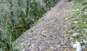 Trail Walking Nantua - Nantua via roche du diable - Photo 7