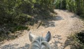 Trail Horseback riding Céreste - Provence 2025 J3 - Photo 19