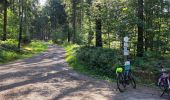 Tour Wandern La Roche-en-Ardenne - promenade 4 et 5 pour le groupe du jeudi - Photo 5