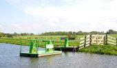 Trail On foot Alphen aan den Rijn - Steilrandroute - Photo 4