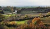 Randonnée A pied Einbeck - Dicke Buchen Weg - Photo 9