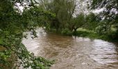 Tocht Stappen Rochefort - Han-sur-Lesse - Photo 14