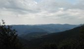 Trail Walking Ranspach - GTVosges - Étape 5 - Markstein - Thann - Photo 1