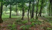 Tour Wandern Pontivy - GR_37_DE_25_Pontivy_Cleguerec_20210826 - Photo 5