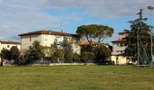 Tocht Te voet Montaione - Dolce campagna antiche mura 11 - Photo 4