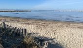 Tocht Stappen Le Grau-du-Roi - Le Grau du Roi Port Camargue  - Photo 3