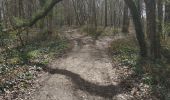 Trail Walking Vauchassis - Bois des Ferrieres - Photo 2