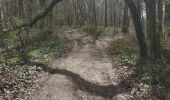 Percorso Marcia Vauchassis - Bois des Ferrieres - Photo 2