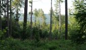 Tour Zu Fuß Oberursel - Keltenrundwanderweg - Photo 1