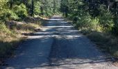 Tour Wandern Bédoin - Sur les traces du reboisement du Ventoux 1860 - Photo 8