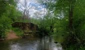 Trail Walking Bozouls - Le tour du trou de Bizoul - Photo 12