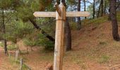 Tour Wandern Condette - Dunes d’Ecault depuis le château d’Hardelot - Photo 12