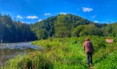 Randonnée Marche Bouillon - Balade au fil du ruisseau des Aleines - Les Hayons - Photo 3