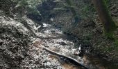 Tour Wandern Bouillon - Bouillon -  Dohan par GR AE - Photo 14