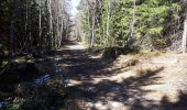 Tocht Stappen Araules - le sentier de Bonas - Photo 2