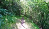 Trail Walking Ferrières-Saint-Mary - Cantal - Ferrières-Saint-Mary - Gorges de la Bouzaire - 7.7km 350m 2h50 - 2019 07 01 - Photo 6