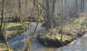 Randonnée Marche Saint-Ouen-le-Brisoult - Les Gorges de Villiers - Photo 3