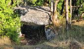 Tocht Stappen Varaire - 9 - Varaire : les dolmens - Photo 2