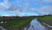 Tour Wandern Maarkedal - Louise-Marie 15 km - Photo 15