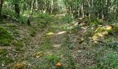 Trail Walking Marray - Marray - Les versants de la Dême - Photo 3