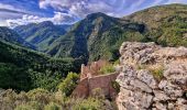 Tocht Stappen Estoublon - Les Gorges de Trévans Via Estoublon - Photo 8