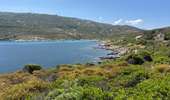 Trail Walking Calvi - Calvi : Pointe de revellata - Photo 11
