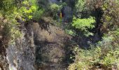 Tour Zu Fuß Gordes - les gorges de la Véroncle - Photo 7