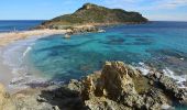 Randonnée Marche Ramatuelle - Bonne Terrasse - Cap Camarat - Plage de l'Escalet - Pointe de la Douane - Cap Lardier - Pointe de Brouis - Plage de Gigaro - Photo 5