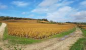 Tour Wandern Château-Thierry - Château-Thierry - la Côte 204 - Photo 1