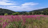 Percorso Marcia Saint-Cyr-sur-Mer - St Cyr la montagne de sable - Photo 2