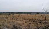 Tour Wandern Kalmthout - Kalmthout heide - Photo 1