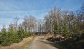 Trail On foot Eupen - Hill- und Getzwanderung - Photo 5