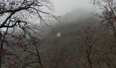 Tocht Stappen Vianden - Les panoramas de Vianden  - Photo 9