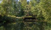 Tour Zu Fuß Mitwitz - Kirchen-Wanderweg - Photo 8