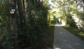 Trail Walking Virton - Fagnes Pierrard  -  Marche_4kms - Photo 6