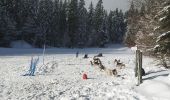 Trail Snowshoes Villard-de-Lans - meaudre le bas - Photo 1