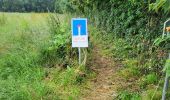 Trail Walking Genappe - Houtain le Val 210624 - Photo 5