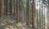 Trail Walking Munster - Gunsbach & le sentier Schweitzer par Haslach - Photo 17