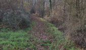 Trail Walking Marcilly-en-Beauce - Varennes - Photo 11