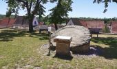 Percorso A piedi Kindelbrück - Geopark Steinrinne - Photo 3