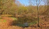 Randonnée Marche Rethondes - en forêt de Laigue_1_le Grand Octogone - Photo 13