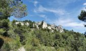 Randonnée Marche Signes - Tour du baou de Serein - Photo 15