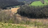 Trail Walking Olne - Boucle de Olne 13 Km - Photo 3