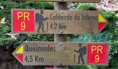 Tocht Stappen Santana - Levada  - Photo 9