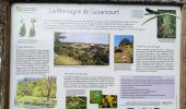 Randonnée A pied Guizancourt - La Montagne de Guizancourt - Photo 1