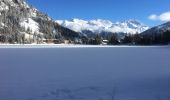 Tocht Sneeuwschoenen Orsières - Champex Lac - Arpette - Champex Lac - Photo 9
